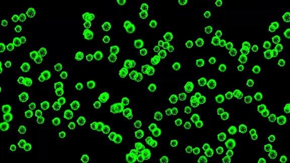绿色病毒颗粒运动图形纯黑色背景
