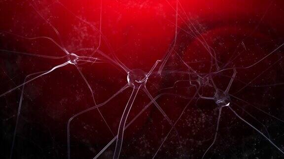 神经元细胞在大脑中跳动着神秘的红色背景动画