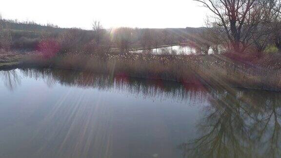 在一个阳光明媚的日子从湖边起飞面朝太阳靠近一个小钓鱼湖在Sarisap匈牙利