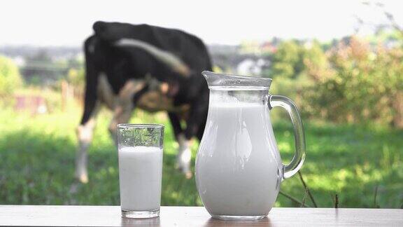 由乳制品制成的美味早餐乡村的天然素食饮品鲜奶装在玻璃瓶和玻璃杯里放在木桌上背景是一头奶牛农业天然产品