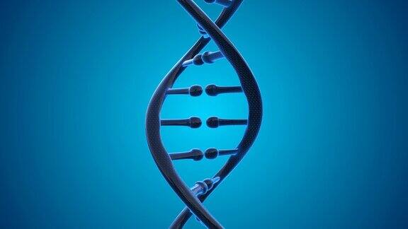 4KDNA分子-可循环