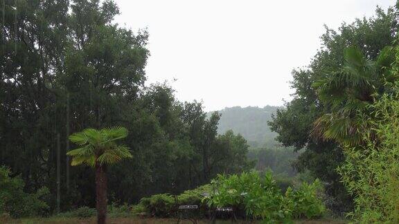 瓢泼大雨在花园里落下棕榈树和绿色的草地普罗旺斯山脉的极端阵雨