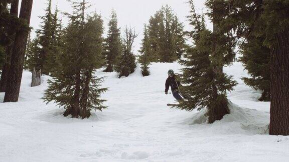 年轻的成年人在树林中滑雪