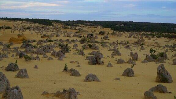 尖峰沙漠日出在澳大利亚珀斯