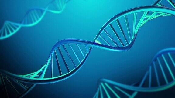 4K旋转DNA序列可循环