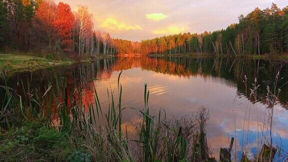 高质量的时间推移美丽的森林湖在雄伟的日落