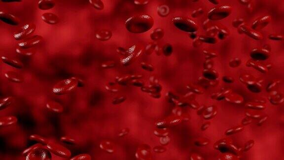 红血球在动脉的血流中移动血红蛋白细胞的三维动画红细胞在血液循环系统中的血管流动的医学三维动画3D动画4k分辨率