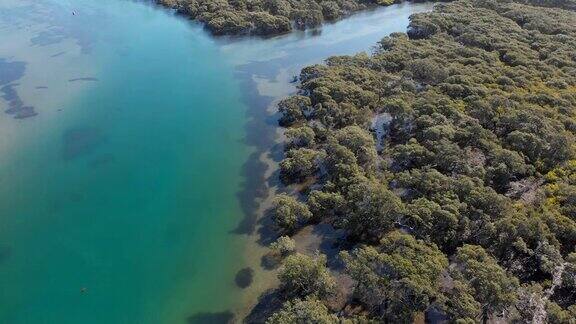 红树林河口湿地的无人机拍摄画面