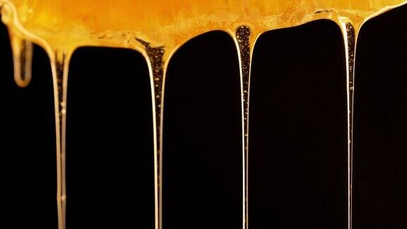 蜂蜜从蜂巢中滴落极端宏观天然蜜蜂蜂蜡细胞黄金长生不老药