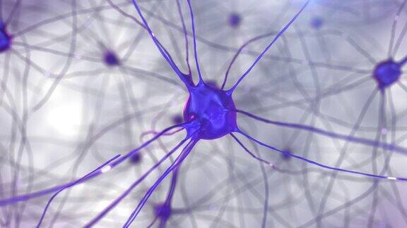 神经细胞、突触和轴突之间传递信号和脉冲