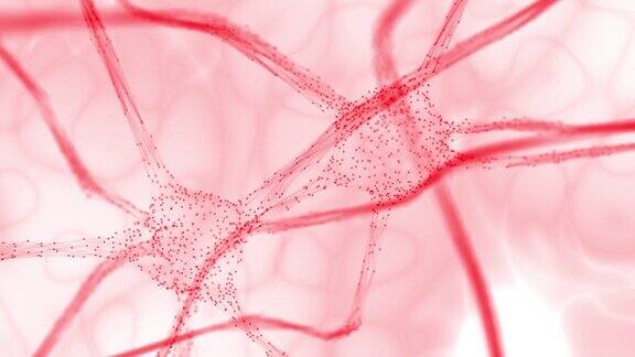 在白色抽象运动背景上大脑的艺术红色神经元