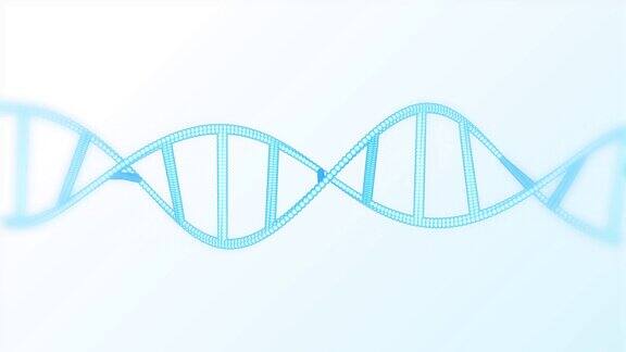 白色背景上带有复制空间的DNA结构脱氧核糖核酸旋转螺旋分子基因遗传和科学研究4K视频