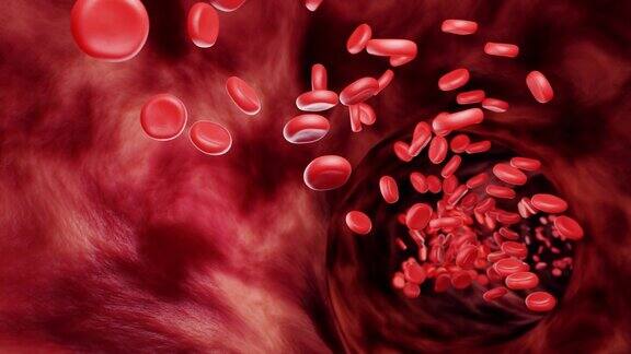 红血球在动脉或血管中在人体内部流动具有医疗保健作用3d渲染