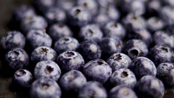 蓝莓蓝莓果实的特写