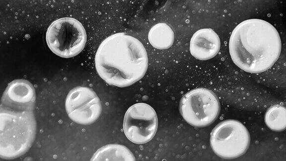显微镜下的球形突变细胞黑色背景