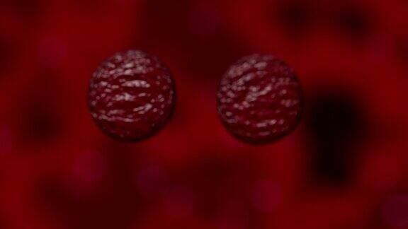 细胞增殖细菌病毒血液显微镜下4K