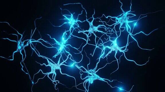 神经元细胞系统