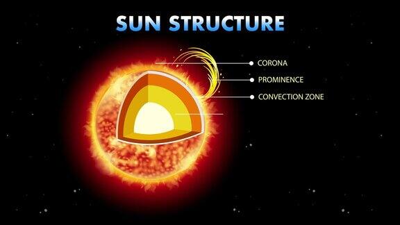 太阳火热的结构揭示