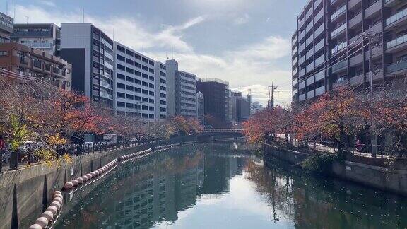 横滨最好的风景