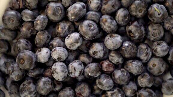 新鲜甜美的蓝莓在转圈成熟的蓝莓果实背景