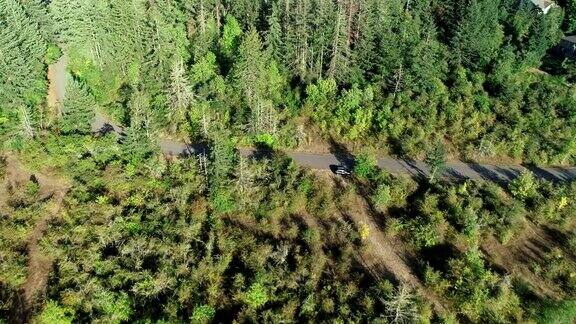 空中俄勒冈滑翔公路汽车森林夏季国内地区