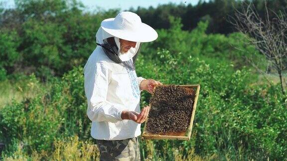 养蜂人在养蜂场里处理蜜蜂和蜂箱