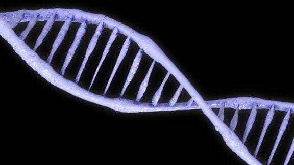 明亮的双螺旋人类DNA结构DNA链DNA分子矢量图