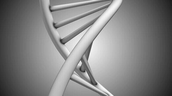 DNA双螺旋线粒体分子化学三维渲染