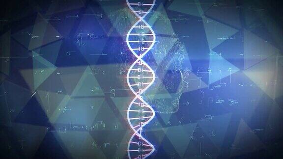 数字dna