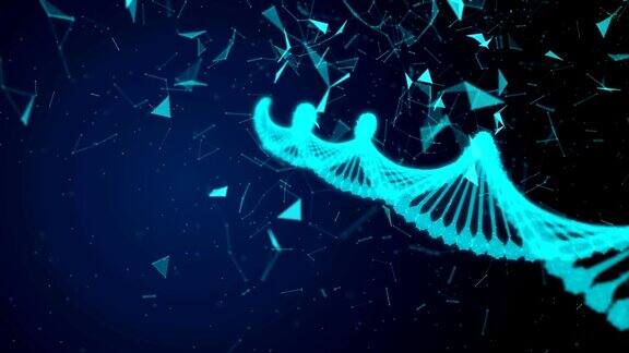 人类数字DNA似乎随着粒子形成的细胞进化和生长