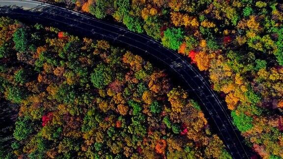 在阿巴拉契亚山波科诺斯宾夕法尼亚州的森林道路顶视图秋天的树叶空中无人机视频