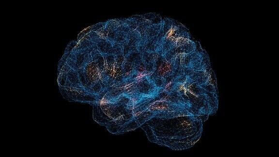 3D脑部扫描脑扫描接口HUD大脑分析【医学】解剖学概念用于标题文本演示3d动画60FPS
