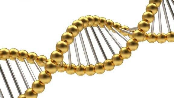 金色DNA螺旋旋转和alpha通道在3D动画4k
