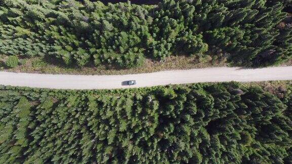 鸟瞰图一辆卡车在土路在森林