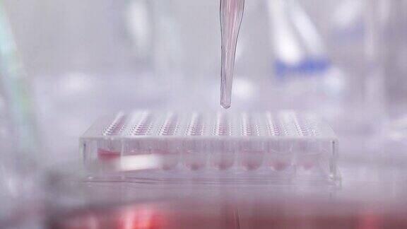 科学家在实验室里测试减少化学解决方案
