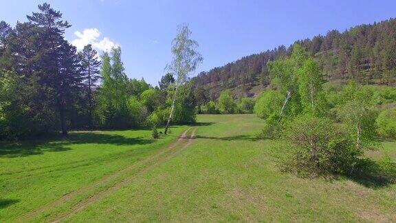 空中视频夏季森林里有一条小山河