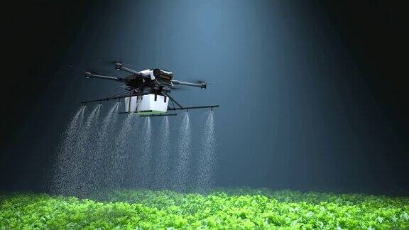 无人机在菜地上飞行肥料农业技术