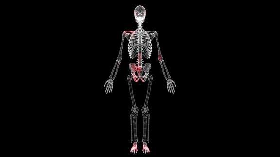 病毒通过黑色背景的体积骨架单色传播病毒在体内的可视化演示教程视频医学概念60FPS3D动画