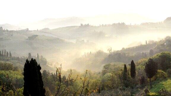 意大利托斯卡纳圣吉米尼亚诺墙上雾蒙蒙的清晨全景图