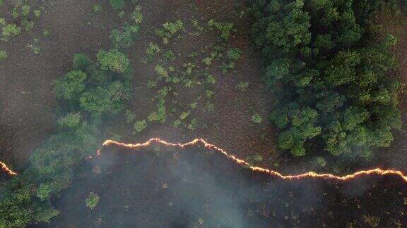 森林火灾鸟瞰图和移动摄影