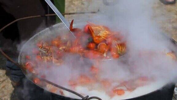 厨师在户外用水壶烹调多瑙河小龙虾