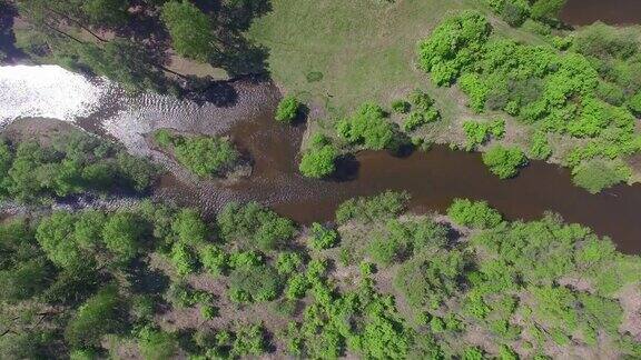 空中视频夏季森林里有一条小山河