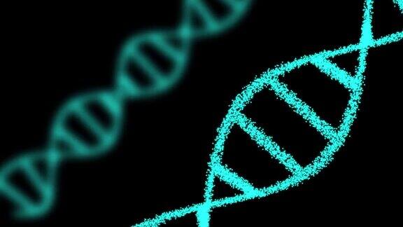 二维动画的两个DNA组成的粒子在一个黑色的背景60fps这个物体是斜的重点是在前面
