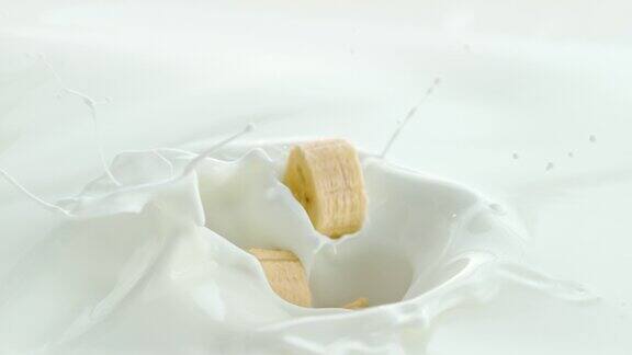 香蕉碎片落入奶油牛奶中在微距和慢动作中产生漩涡飞溅