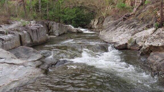 溪流在森林和岩石中流动的水