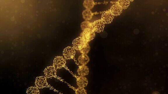 组装和散射旋转丛DNA链-金橙色版本