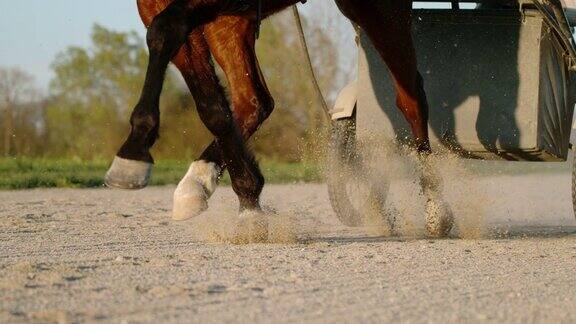 初级骑师训练马匹进行马具比赛