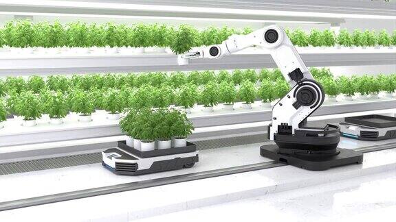 智能机器人农民概念机器人农民农业技术农场自动化