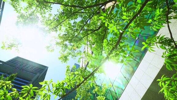 现代办公大楼和清新的绿树阳光和阳光透过树木