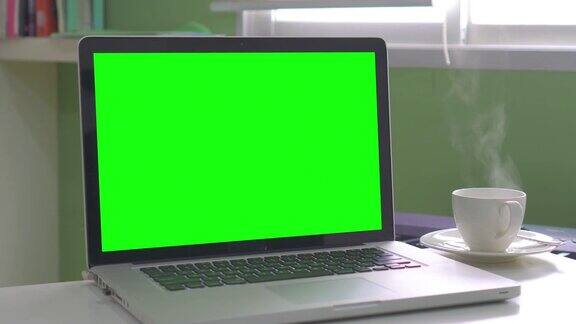 多莉:用绿色屏幕的笔记本电脑没人